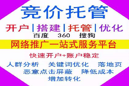 行业专家解析SEM托管代运营的成功要素